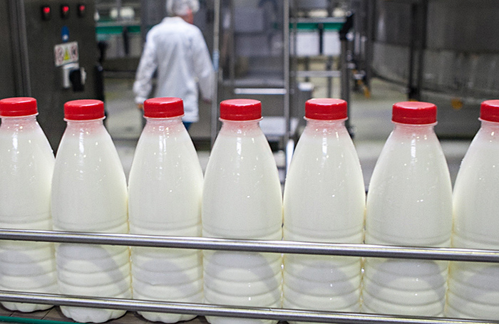 В чем причина затоваривания молоком у российских производителей?