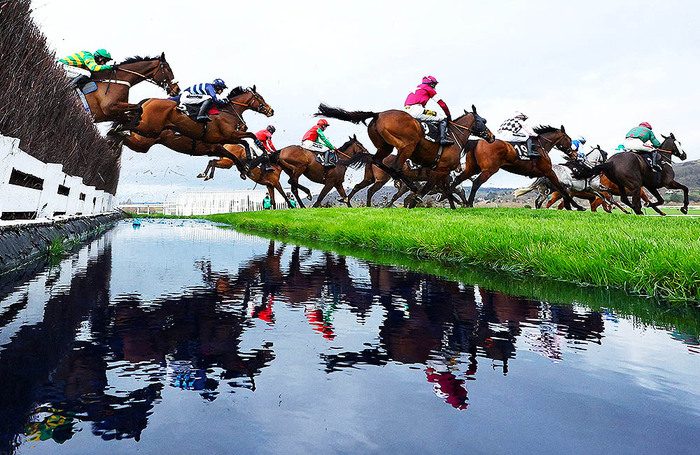 Королевские скачки. В Великобритании проходит Челтнемский фестиваль