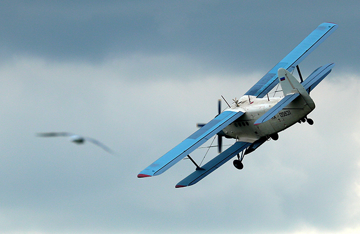 Способен ли старичок Ан-2 заменить перспективный, но не готовый еще «Байкал»?