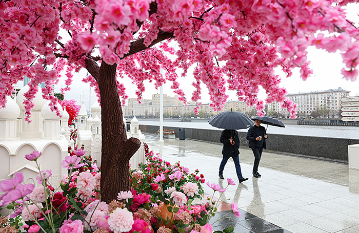 Москву будет заливать дождями всю неделю
