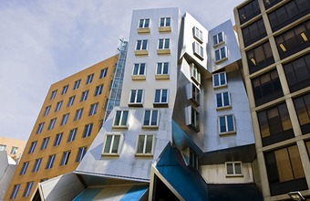 Сколково и MIT организуют «циркуляцию мозгов»