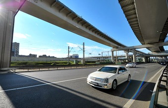 У новых москвичей отнимут голос 