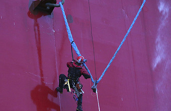 Greenpeace подозревают в пиратстве