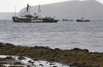 Против активистов Greenpeace могут быть возбуждены новые уголовные дела