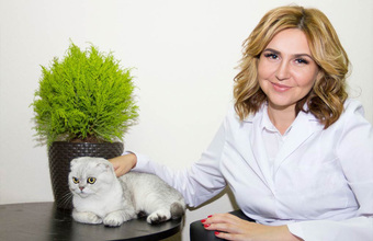 От отеля для животных — до зоотакси и свадебных церемоний