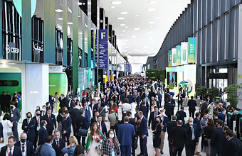 «Зеленое» наступление, отказ от доллара и бунт Татуловой