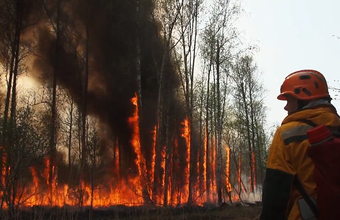 Лесные пожары в Якутии продолжают бушевать. Отменена часть рейсов в Мирном