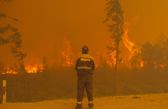 В чем причины рекордных лесных пожаров?