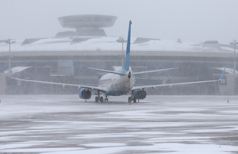 Пора домой! В 2023-м многие россияне, недавно покинувшие страну, решили вернуться обратно
