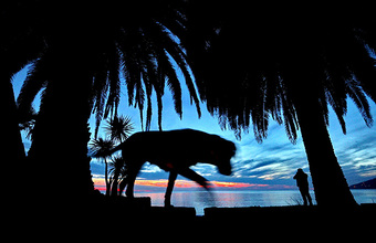 МИД РФ предупредил соотечественников о рисках посещения Абхазии. Из-за чего?