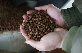 Телеграм-каналы обратили внимание на продажу запрещенных в РФ кормов для животных