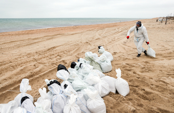 На побережье Кубани убрали почти 35 тысяч тонн песка с мазутом