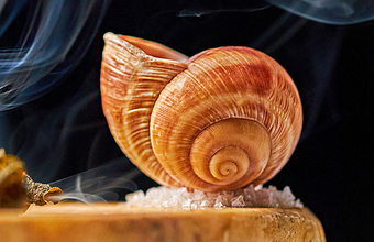 «Голод и изобилие», «Гжель», «Веганский», «Наследники» — новые сеты от известных шефов в Москве