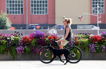 На следующей неделе в Москве будет не выше плюс 20 и временами дожди