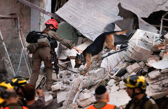 Еврокомиссия планирует предложить комплекс мер против Израиля