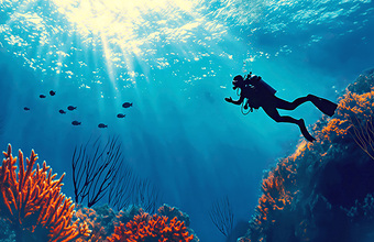 Коралловые рифы столкнулись с широкомасштабным вымиранием