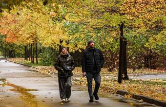 В Москву пришли заморозки, но зима пока не спешит