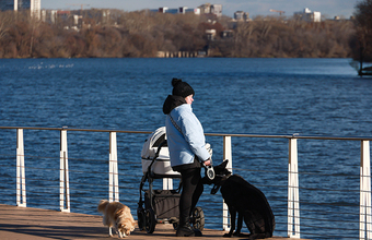 Погода в Москве остается теплее нормы