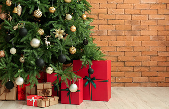 Перестановки в правительстве: Путин отправил в отставку нескольких министров