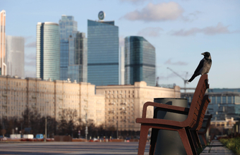 В Москве и «Сириусе» могут ввести платные зоны для автомобилей