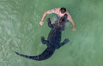 Фотокадры уходящего года