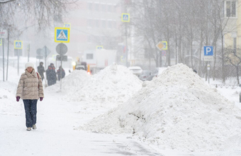 Как Москва пережила рекордный снегопад и как долго будет разгребать последствия?