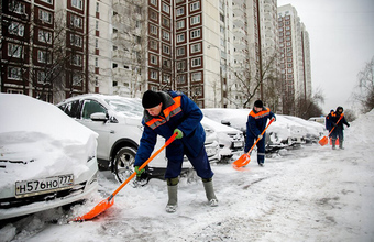 Вера Москвина: «Техника — это прекрасно, но без дворника с лопатой все равно не справиться с этим снегопадом»
