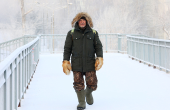 Перестановки в правительстве: Путин отправил в отставку нескольких министров