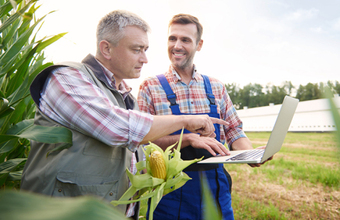 Перестановки в правительстве: Путин отправил в отставку нескольких министров