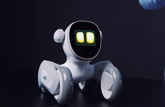 Перестановки в правительстве: Путин отправил в отставку нескольких министров