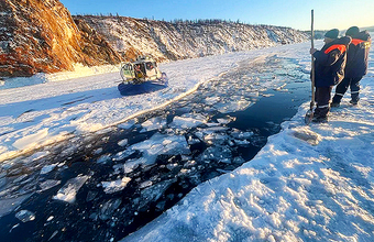 бфм новости