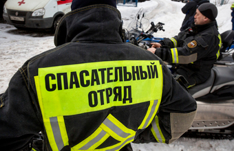 бфм новости