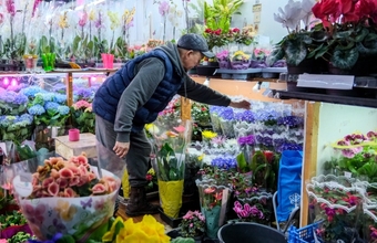 Цветы в плюсе. Восьмимартовский ажиотаж не подвел продавцов
