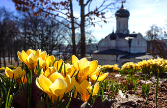 Перестановки в правительстве: Путин отправил в отставку нескольких министров