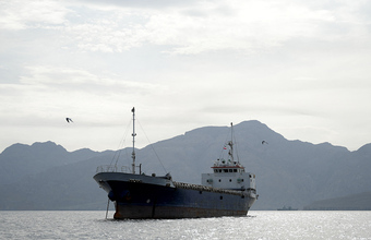 Перестановки в правительстве: Путин отправил в отставку нескольких министров