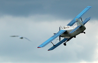 Перестановки в правительстве: Путин отправил в отставку нескольких министров