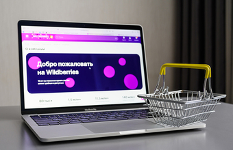 Перестановки в правительстве: Путин отправил в отставку нескольких министров