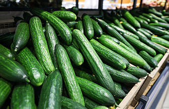 Перестановки в правительстве: Путин отправил в отставку нескольких министров