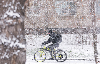 Перестановки в правительстве: Путин отправил в отставку нескольких министров