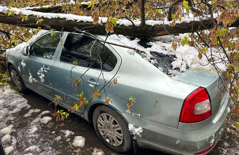 Перестановки в правительстве: Путин отправил в отставку нескольких министров
