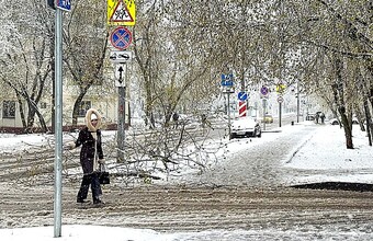 Москву замело апрельским снегом