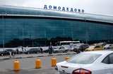 За безопасность в «Домодедово» никто не ответит