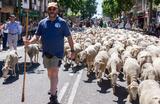 Около 1200 овец провели испанские пастухи по улицам Гвадаррамы на акции в защиту традиционного животноводства, приуроченной ко Всемирному дyю окружающей среды.