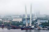 Вид на вантовый мост через бухту Золотой Рог во Владивостоке.