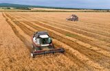 Уборка озимых зерновых культур в Дагестане.