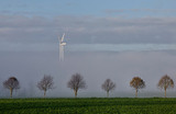 Туманное утро в пригороде Вавра. Бельгия.