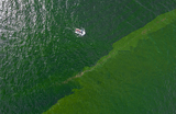 Вид с воздуха на зеленую морскую воду, вызванную цветением планктона, на побережье Чонбури, Таиланд.
