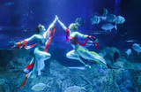 Выступление подводных танцоров в океанариуме в Нанкине.