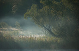 Осень в Ивановской области. Туман над рекой Мерой.
