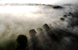 Вспаханные поля окутанные туманом ранним утром в Стаффордшире, Великобритания.